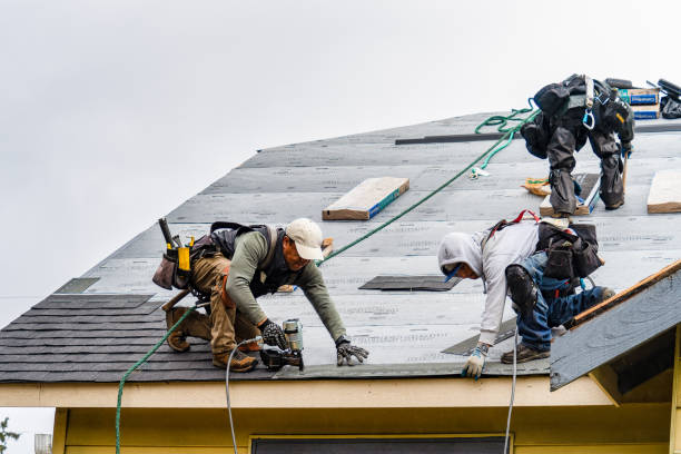 Professional Gutter Installation technician working in Holly Bluff, MS